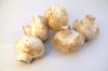 button-mushrooms